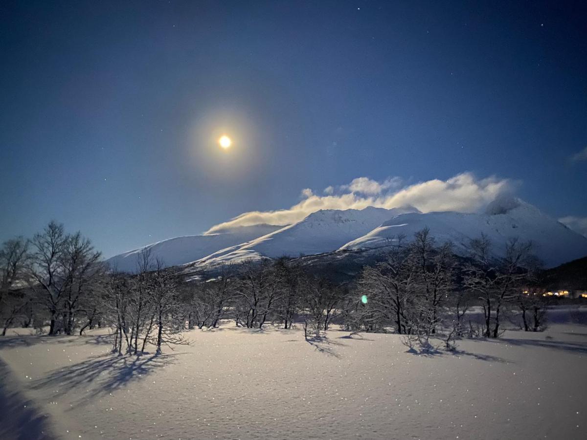 Cozy Fjord Retreat With Firepit And Activities Apartment Tromsø